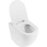 Унитаз приставной BELBAGNO BB2141CBR/BB105SC